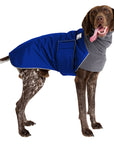 German Shorthaired Pointer Winter Coat (Special Order Blue) - Voyagers K9 Apparel