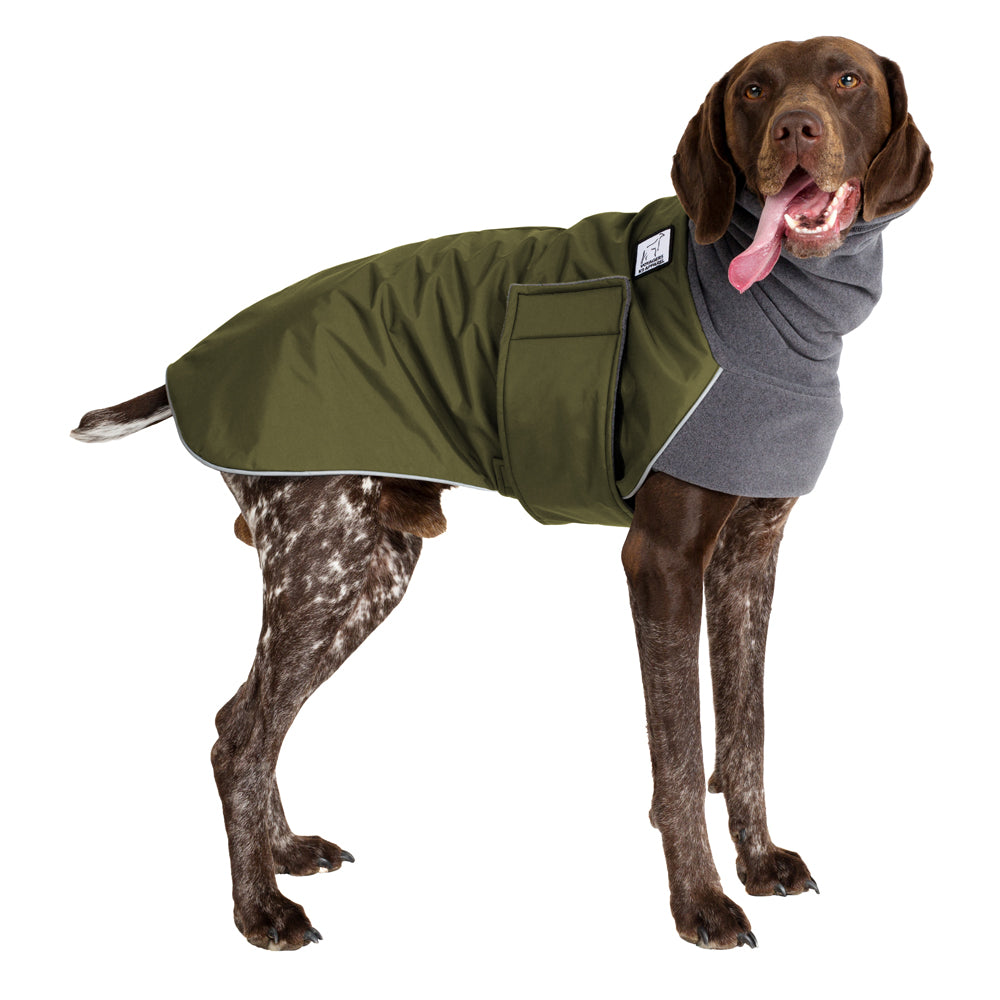 German Shorthaired Pointer Warm Dog Winter Coat – Voyagers K9 Apparel