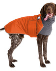 German Shorthaired Pointer Winter Coat (Special Order Orange) - Voyagers K9 Apparel