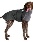German Shorthaired Pointer Winter Coat (Special Order Smoke) - Voyagers K9 Apparel