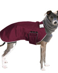 Italian Greyhound Winter Coat (Burgundy) - Voyagers K9 Apparel