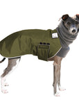 Italian Greyhound Winter Coat (Olive) - Voyagers K9 Apparel