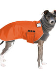 Italian Greyhound Winter Coat (Special Order Orange) - Voyagers K9 Apparel