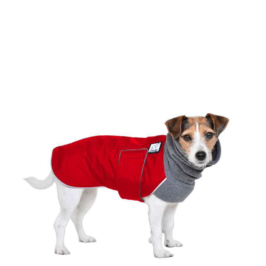 Jack Russell Terrier Warm Dog Winter Coat – Voyagers K9 Apparel