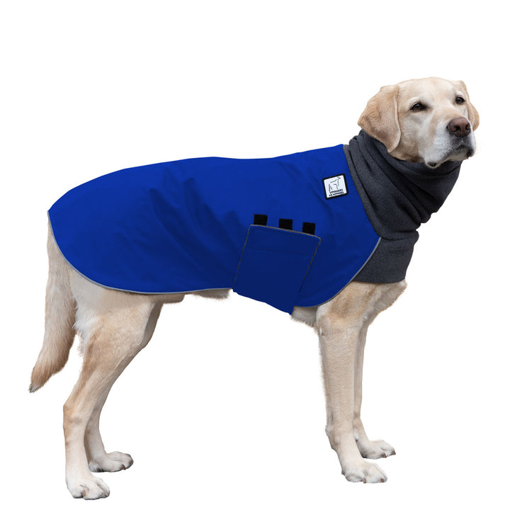Labrador Retriever Winter Coat (Special Order Blue) - Voyagers K9 Apparel