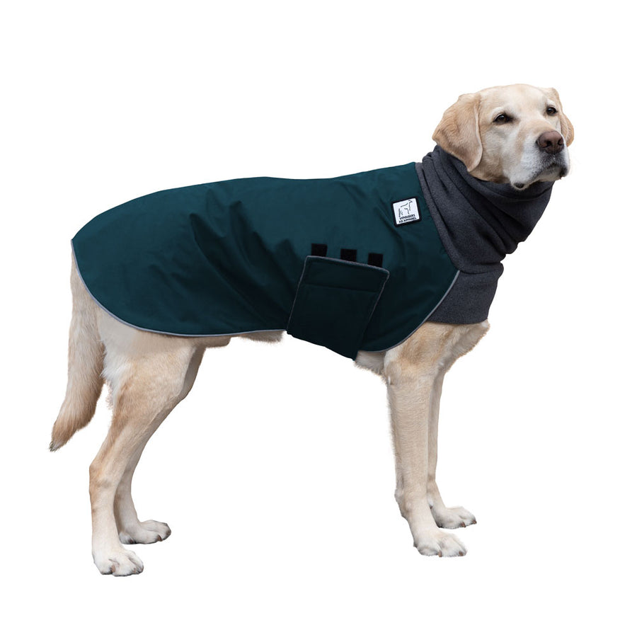 Labrador Retriever Winter Coat (Dark Teal) - Voyagers K9 Apparel