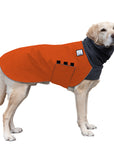 Labrador Retriever Winter Coat (Special Order Orange) - Voyagers K9 Apparel