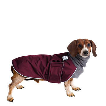 Miniature Dachshund Winter Coat (Burgundy) - Voyagers K9 Apparel