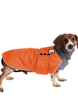 Miniature Dachshund Winter Coat (Special Order Orange) - Voyagers K9 Apparel