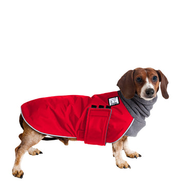 Miniature Dachshund Winter Coat (Red) - Voyagers K9 Apparel