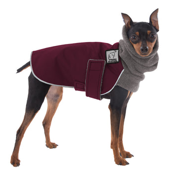 Miniature Pinscher Winter Coat (Burgundy) - Voyagers K9 Apparel Dog Gear