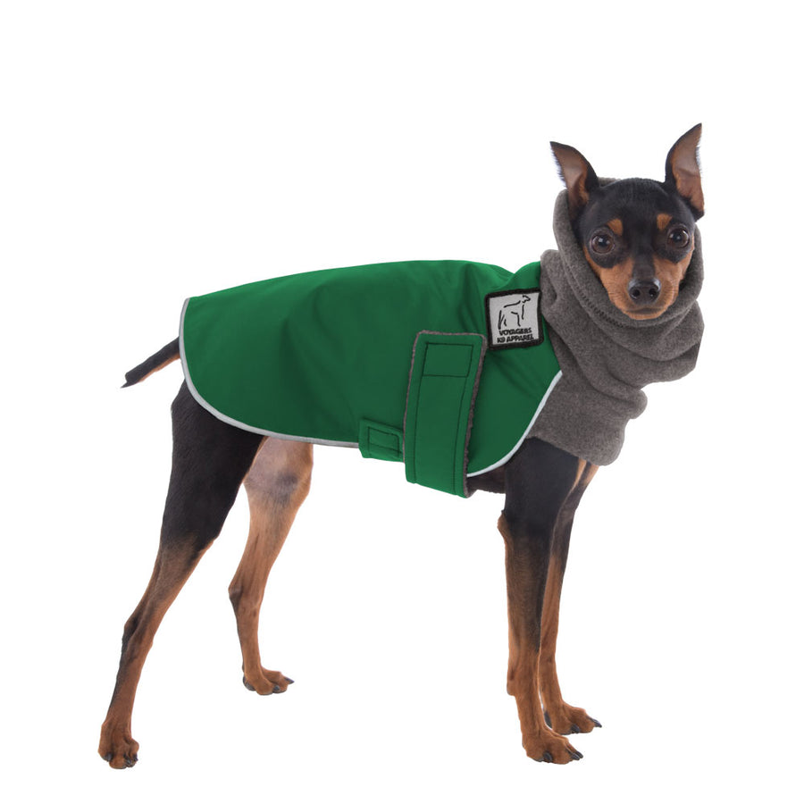 Miniature Pinscher Winter Coat (Special Order Green) - Voyagers K9 Apparel