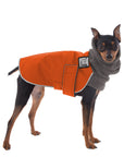 Miniature Pinscher Winter Coat (Special Order Orange) - Voyagers K9 Apparel