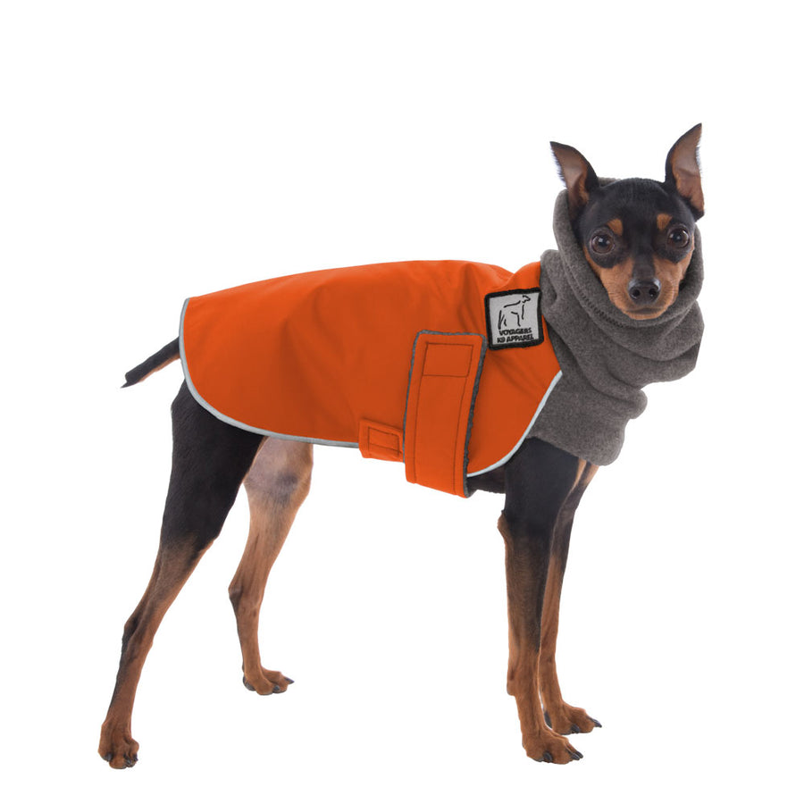 Miniature Pinscher Winter Coat (Special Order Orange) - Voyagers K9 Apparel