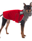 Miniature Pinscher Winter Coat (Red) - Voyagers K9 Apparel Dog Gear
