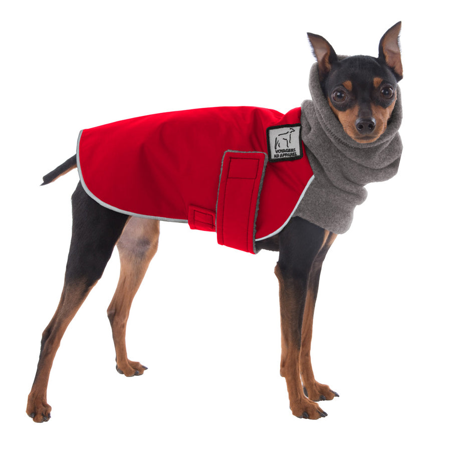 Miniature Pinscher Winter Coat (Red) - Voyagers K9 Apparel Dog Gear