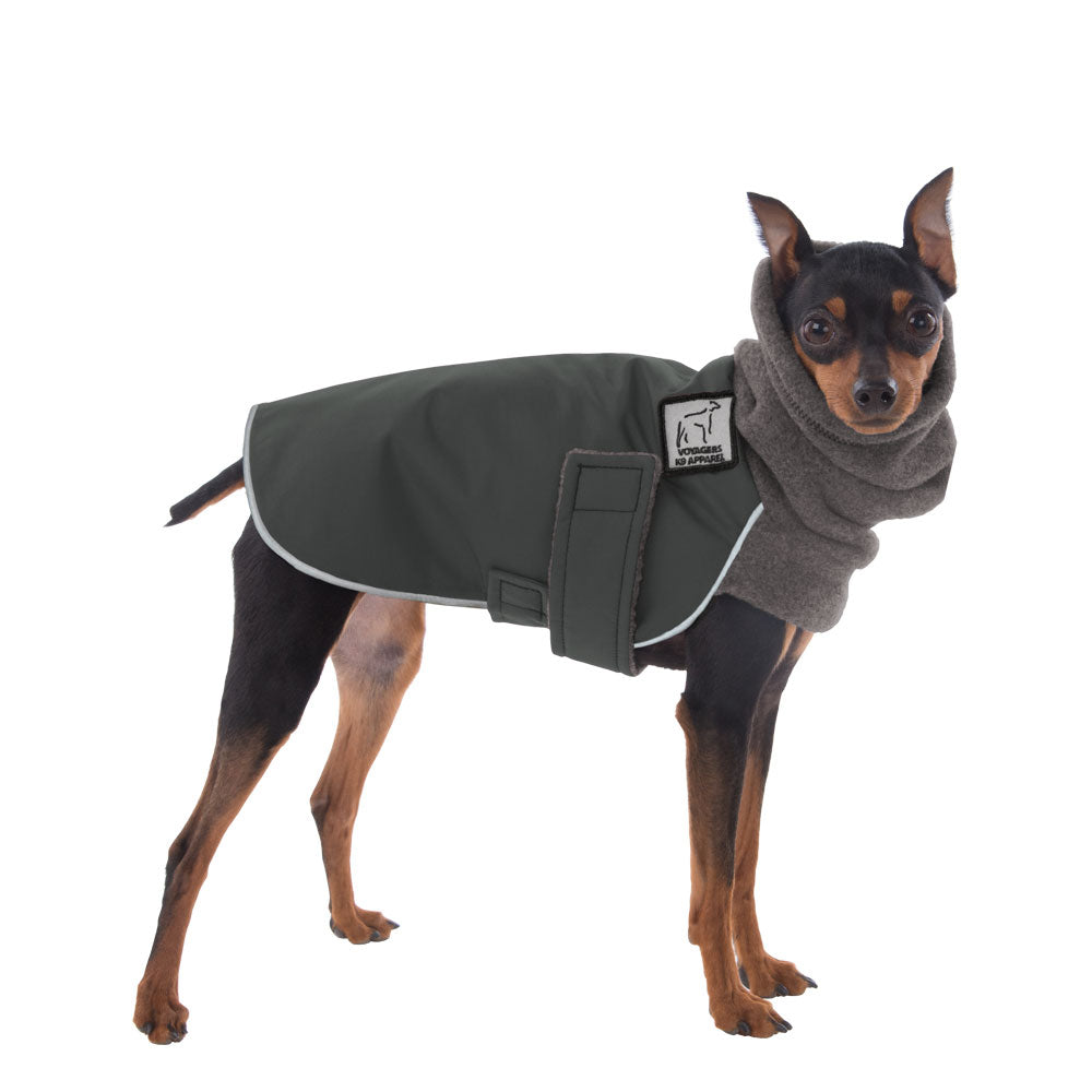 Miniature Pinscher Winter Coat (Special Order Smoke) - Voyagers K9 Apparel