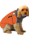 Miniature Poodle Winter Coat (Special Order Orange) - Voyagers K9 Apparel