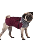 Pug Winter Coat (Burgundy)- Voyagers K9 Apparel