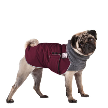 Pug Winter Coat (Burgundy)- Voyagers K9 Apparel