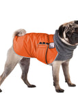 Pug Winter Coat (Special Order Orange) - Voyagers K9 Apparel