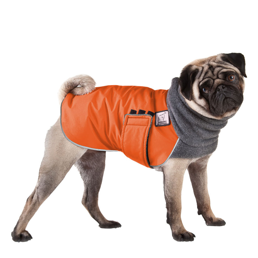 Pug Winter Coat (Special Order Orange) - Voyagers K9 Apparel