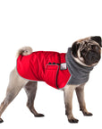 Pug Winter Coat (Red) - Voyagers K9 Apparel