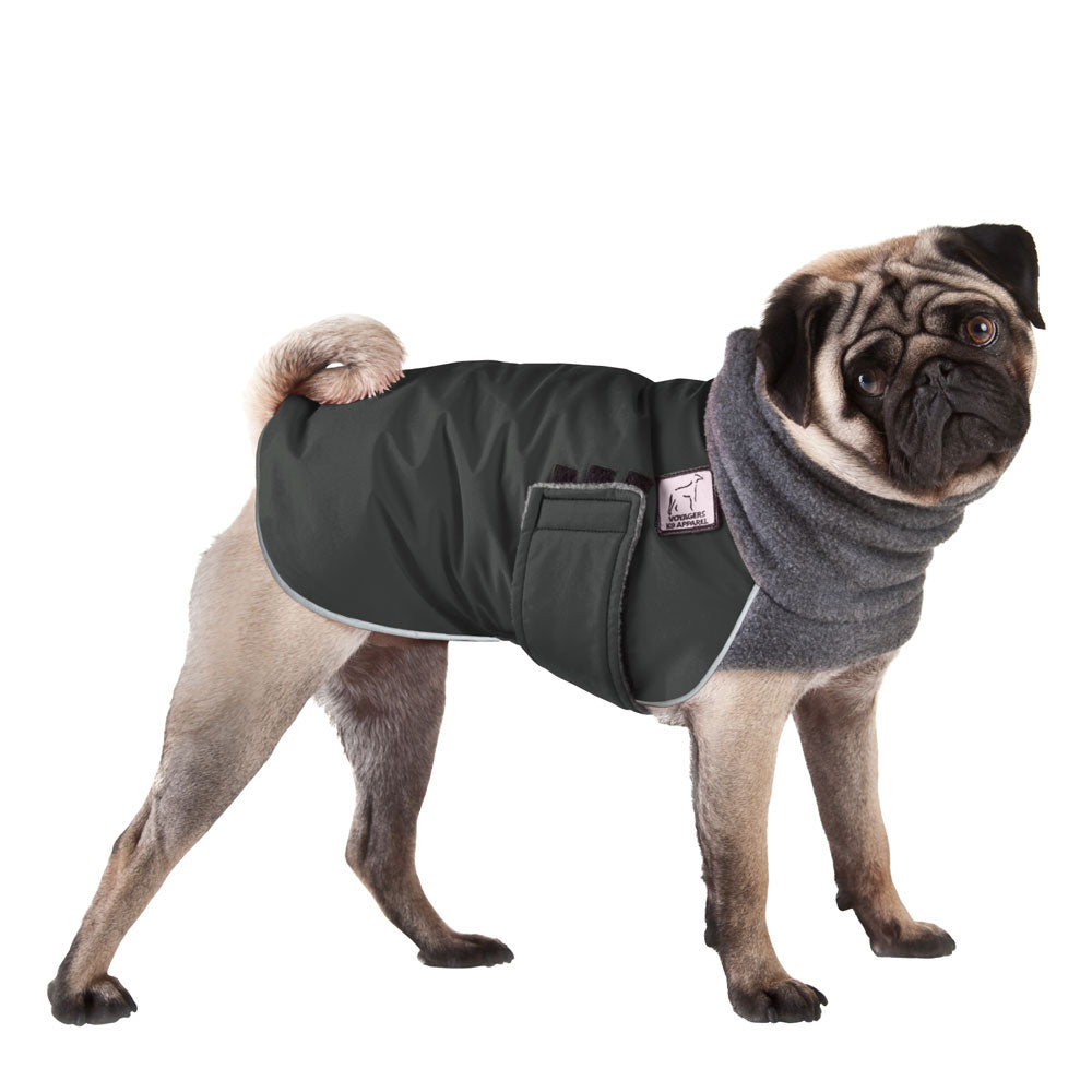 Pug Winter Coat (Special Order Smoke) - Voyagers K9 Apparel
