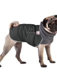 Pug Winter Coat (Special Order Smoke) - Voyagers K9 Apparel