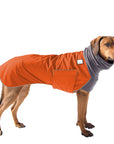 Rhodesian Ridgeback Winter Coat (Special Order Orange) - Voyagers K9 Apparel