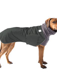 Rhodesian Ridgeback Winter Coat