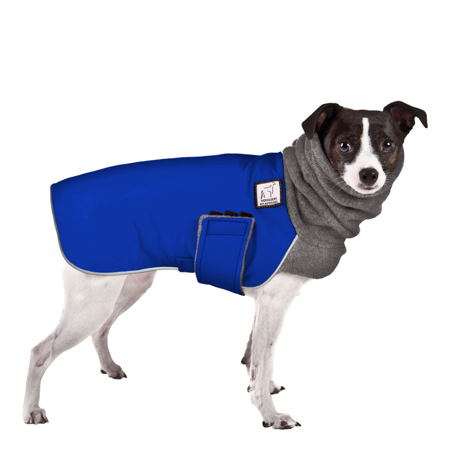 Rat Terrier Winter Coat (Special Order Blue) - Voyagers K9 Apparel