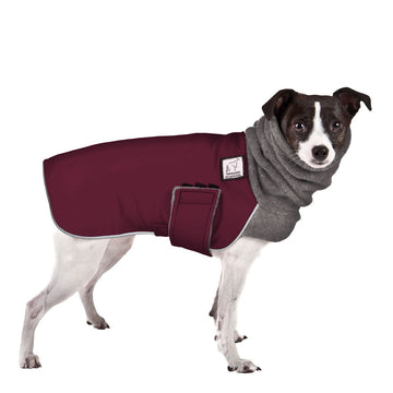 Rat Terrier Winter Coat (Burgundy) - Voyagers K9 Apparel