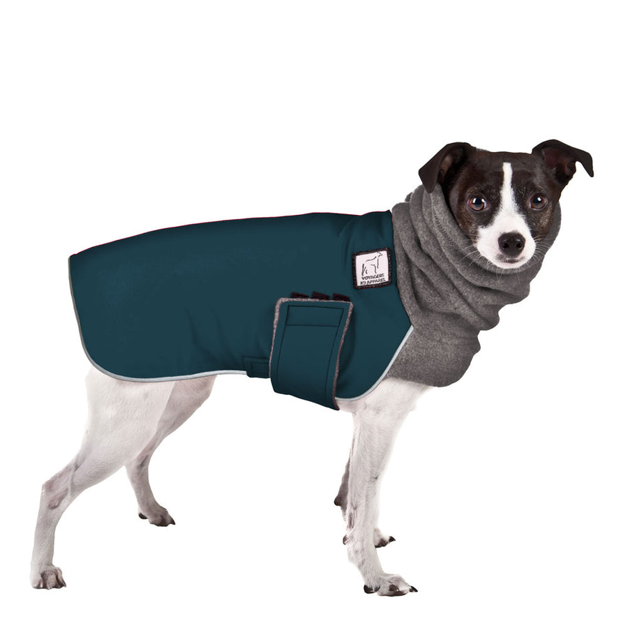 Rat Terrier Winter Coat (Dark Teal) - Voyagers K9 Apparel
