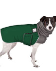 Rat Terrier Winter Coat (Special Order Green) - Voyagers K9 Apparel