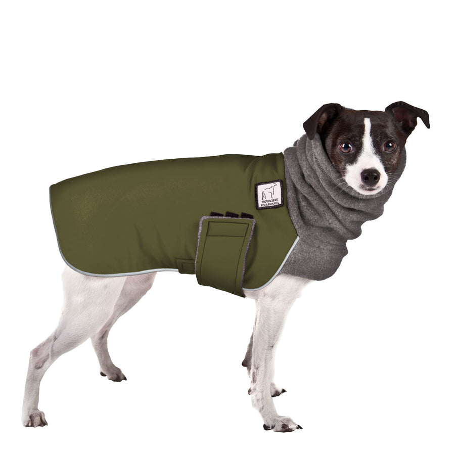 Rat Terrier Winter Coat (Olive) - Voyagers K9 Apparel