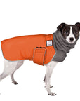 Rat Terrier Winter Coat (Special Order Orange) - Voyagers K9 Apparel