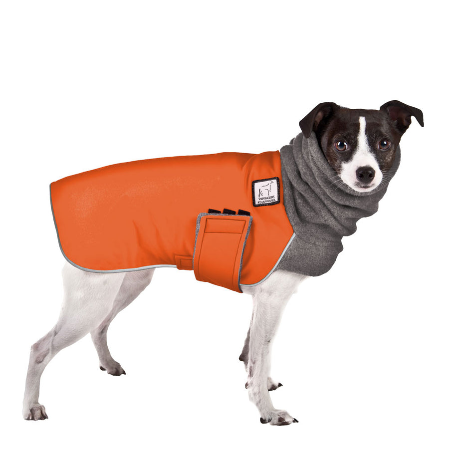 Rat Terrier Winter Coat (Special Order Orange) - Voyagers K9 Apparel