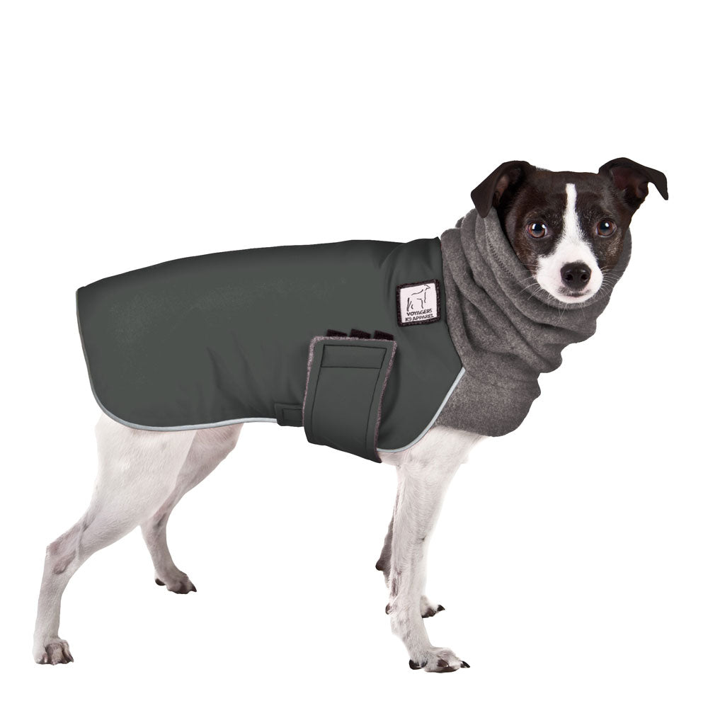 Rat Terrier Winter Coat (Special Order Smoke) - Voyagers K9 Apparel