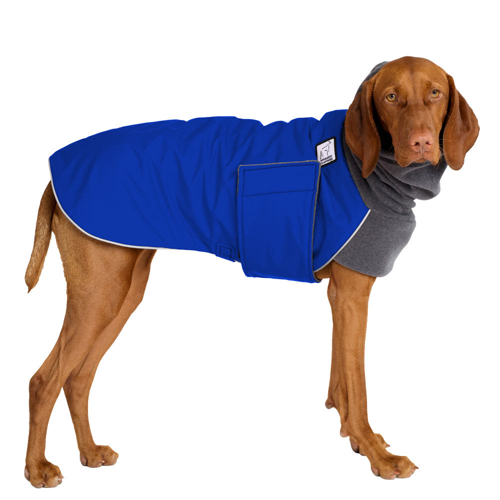 Vizsla Winter Coat (Special Order Blue) - Voyagers K9 Apparel