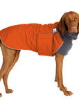 Vizsla Winter Coat (Special Order Orange) - Voyagers K9 Apparel