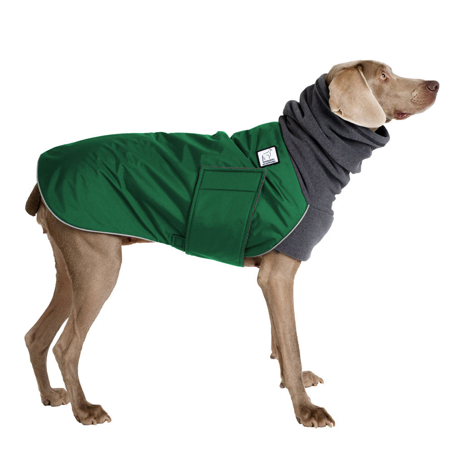 Weimaraner Winter Coat (Special Order Green) - Voyagers K9 Apparel