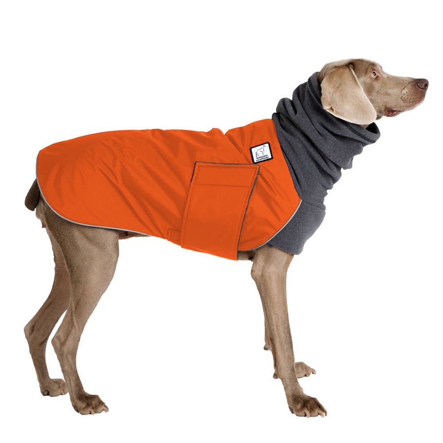 Weimaraner Winter Coat (Special Order Orange) - Voyagers K9 Apparel